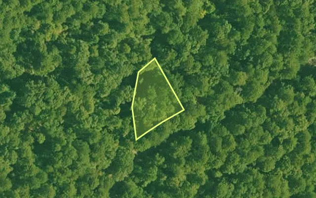 Aerial view of SALINE County parcel 440-00050-000 — Arkansas post-auction with approximate parcel outline