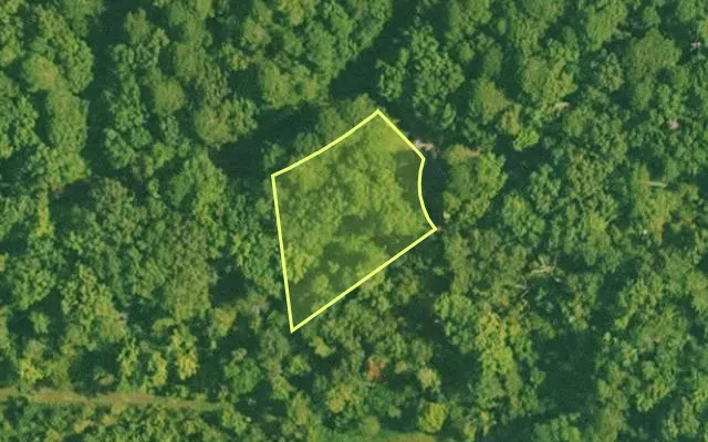 Aerial view of SALINE County parcel 456-00258-000 — Arkansas post-auction with approximate parcel outline