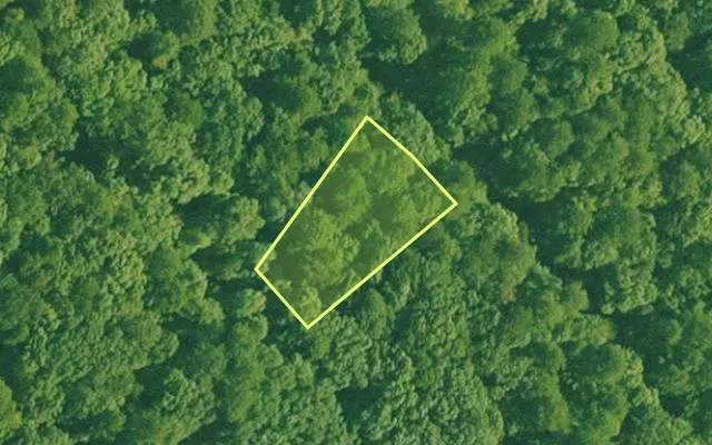 Aerial view of SALINE County parcel 564-00016-000 — Arkansas post-auction with approximate parcel outline