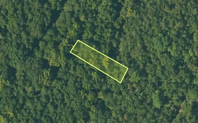 Aerial view of FULTON County parcel 105-10354-000 — Arkansas post-auction with approximate parcel outline
