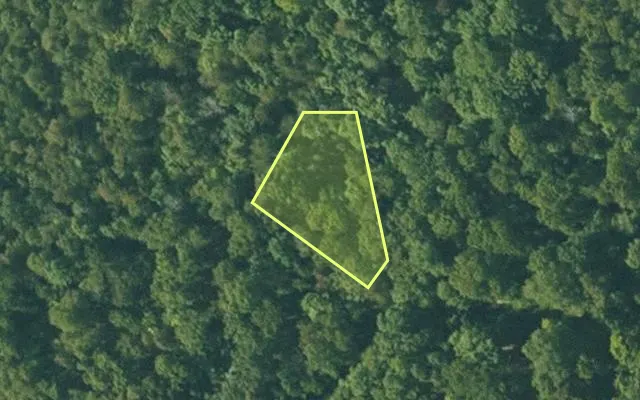 Aerial view of FULTON County parcel 125-11188-000 — Arkansas post-auction with approximate parcel outline