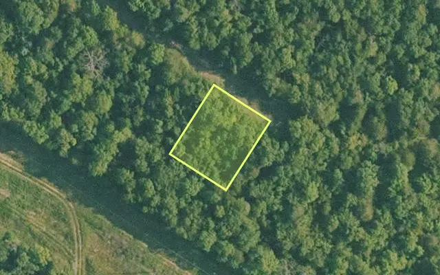 Aerial view of BAXTER County parcel 010-01741-000 — Arkansas post-auction with approximate parcel outline