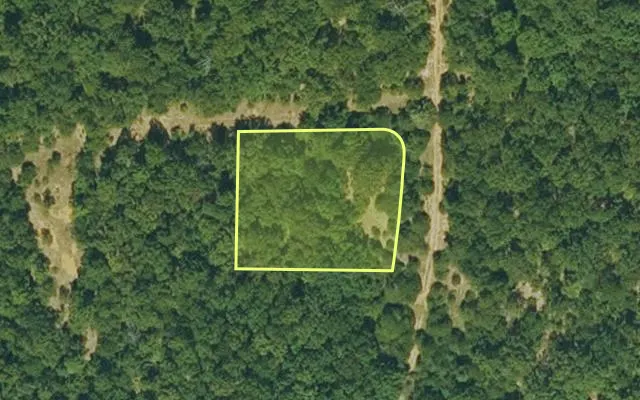 Aerial view of IZARD County parcel 800-12591-000 — Arkansas post-auction with approximate parcel outline