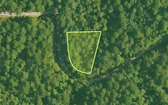 Aerial view of SALINE County parcel 420-00001-008 — Arkansas post-auction with approximate parcel outline