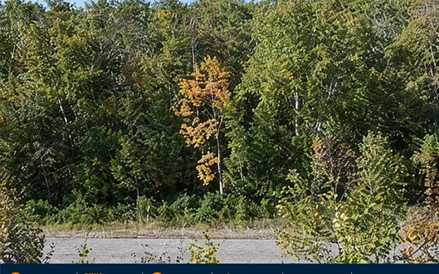LandCentral listing preview for 0.52 acres in Presque Isle, MI — 15955