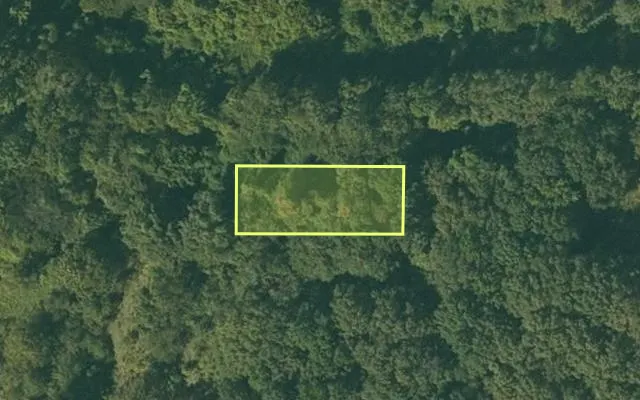 Aerial view of CHICOT County parcel 050-04025-000 — Arkansas post-auction with approximate parcel outline