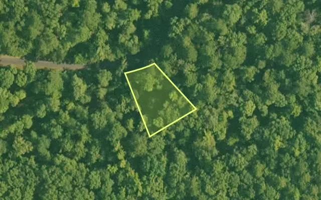 Aerial view of SALINE County parcel 516-00215-000 — Arkansas post-auction with approximate parcel outline