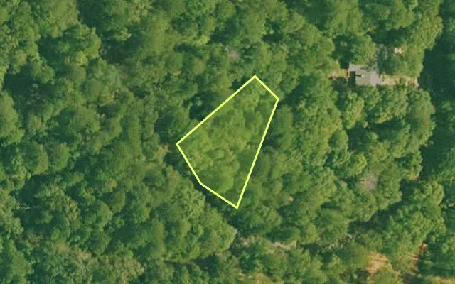 Aerial view of GARLAND County parcel 74322 — Arkansas post-auction with approximate parcel outline
