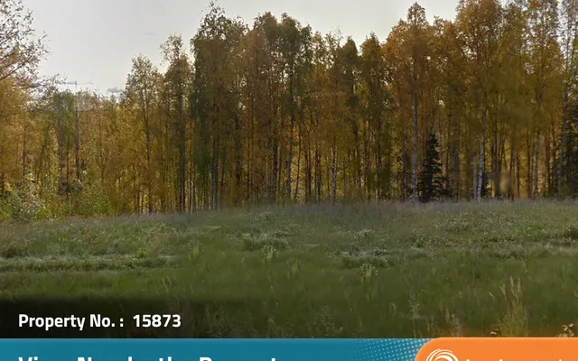 LandCentral listing preview for 5 acres in Matanuska-Susitna, AK — 15873