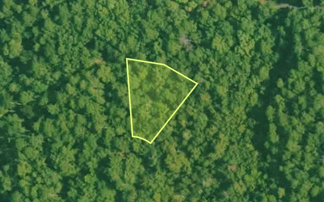Aerial view of SALINE County parcel 544-00164-000 — Arkansas post-auction with approximate parcel outline