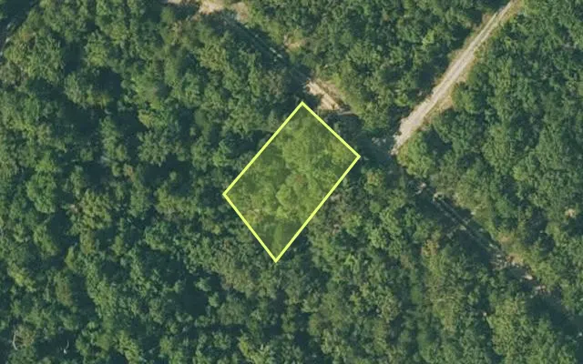 Aerial view of FULTON County parcel 310-17844-000 — Arkansas post-auction with approximate parcel outline