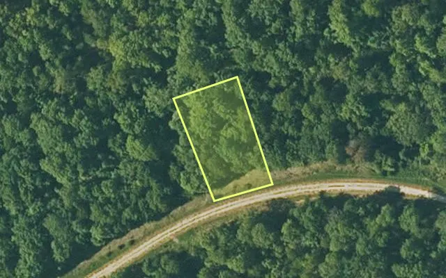 Aerial view of FULTON County parcel 165-12649-000 — Arkansas post-auction with approximate parcel outline