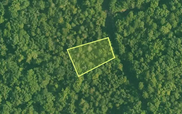 Aerial view of SALINE County parcel 736-00114-000 — Arkansas post-auction with approximate parcel outline