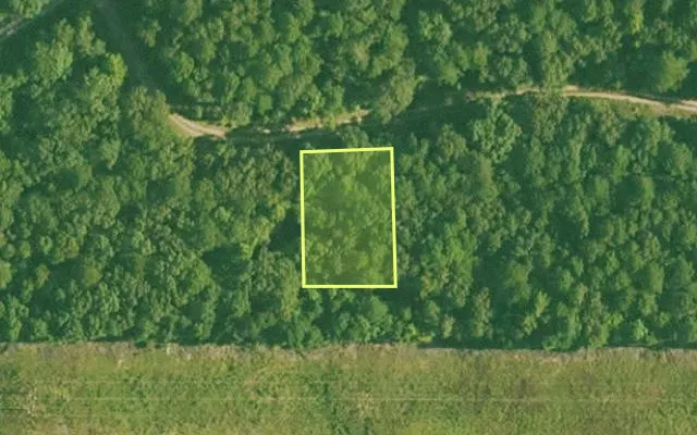 Aerial view of GARLAND County parcel 58703 — Arkansas post-auction with approximate parcel outline
