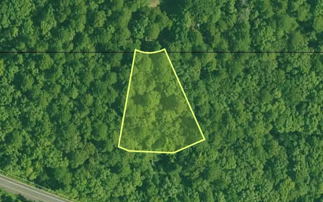 Aerial view of GARLAND County parcel 59399 — Arkansas post-auction with approximate parcel outline