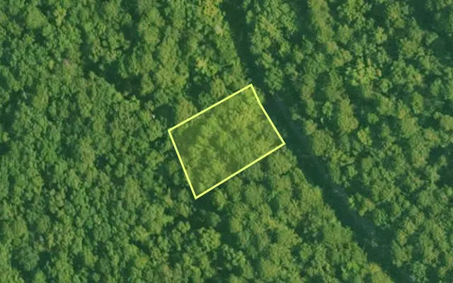 Aerial view of SALINE County parcel 496-00029-000 — Arkansas post-auction with approximate parcel outline
