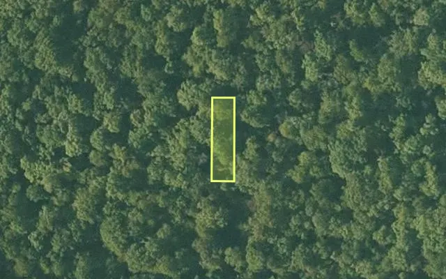 Aerial view of SHARP County parcel 368-00073-000 — Arkansas post-auction with approximate parcel outline