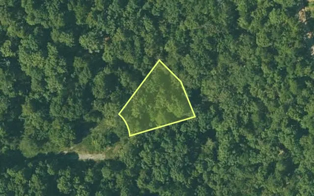 Aerial view of FULTON County parcel 230-14682-000 — Arkansas post-auction with approximate parcel outline