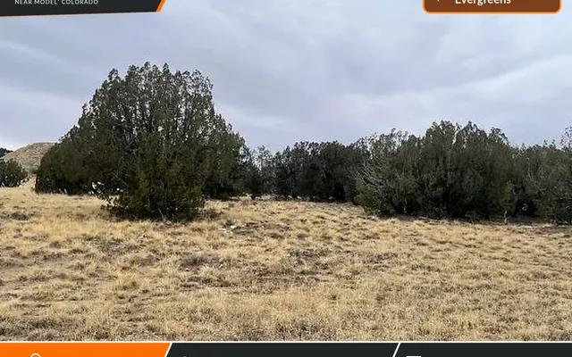 LandCentral listing preview for 39.53 acres in Las Animas, CO — 15876