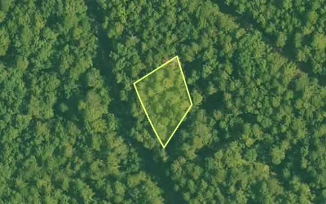 Aerial view of SALINE County parcel 496-00129-000 — Arkansas post-auction with approximate parcel outline
