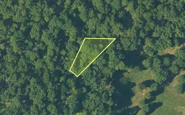Aerial view of FULTON County parcel 686-25047-001 — Arkansas post-auction with approximate parcel outline