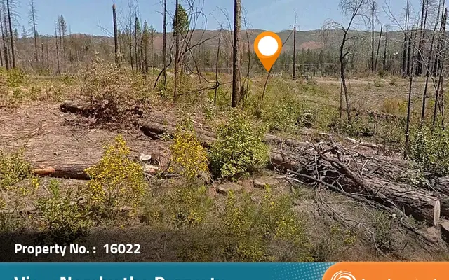 LandCentral listing preview for 0.3 acres in Butte, CA — 16022