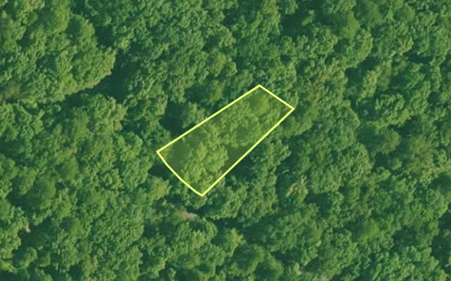 Aerial view of SALINE County parcel 564-00031-000 — Arkansas post-auction with approximate parcel outline