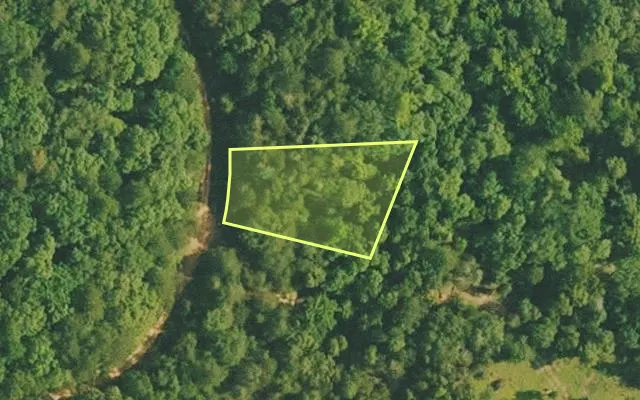 Aerial view of VAN BUREN County parcel 4500-02539-0000 — Arkansas post-auction with approximate parcel outline