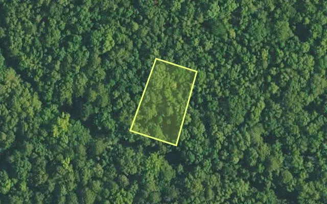 Aerial view of VAN BUREN County parcel 4400-12217-0000 — Arkansas post-auction with approximate parcel outline