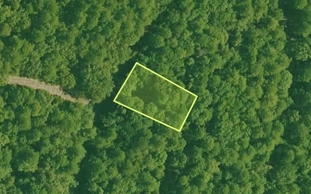 Aerial view of SALINE County parcel 536-00064-000 — Arkansas post-auction with approximate parcel outline