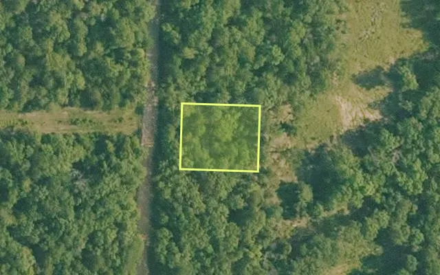 Aerial view of BAXTER County parcel 010-02598-000 — Arkansas post-auction with approximate parcel outline