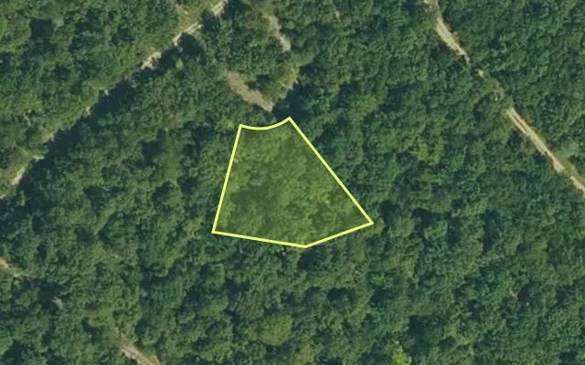 Aerial view of FULTON County parcel 245-15493-000 — Arkansas post-auction with approximate parcel outline