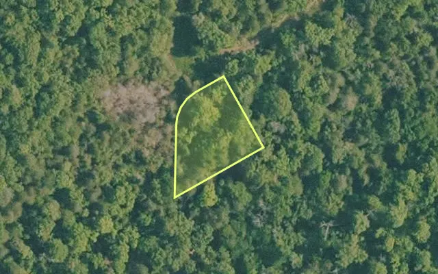 Aerial view of BAXTER County parcel 010-02284-176 — Arkansas post-auction with approximate parcel outline