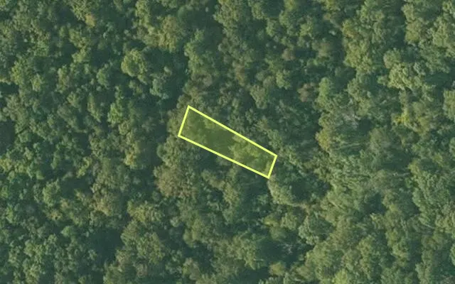 Aerial view of SHARP County parcel 224-00088-000 — Arkansas post-auction with approximate parcel outline