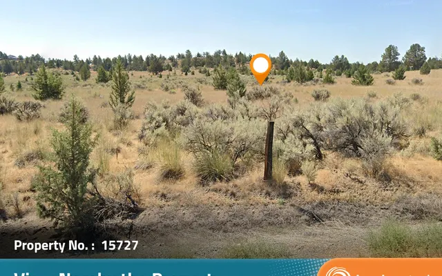 LandCentral listing preview for 1.13 acres in Modoc, CA — 15727