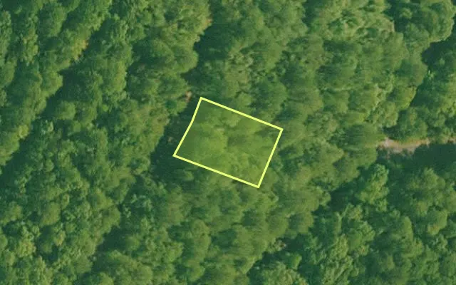 Aerial view of SALINE County parcel 392-00036-000 — Arkansas post-auction with approximate parcel outline