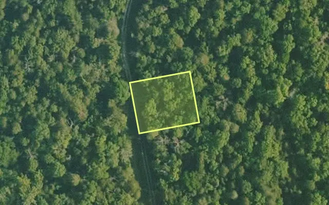 Aerial view of BAXTER County parcel 010-02434-000 — Arkansas post-auction with approximate parcel outline