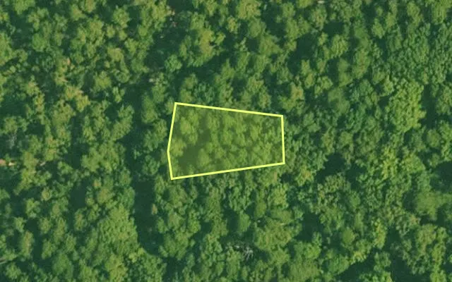 Aerial view of SALINE County parcel 456-00206-000 — Arkansas post-auction with approximate parcel outline