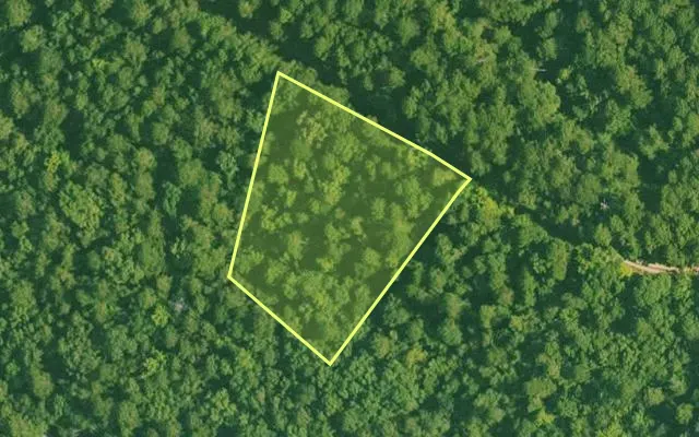 Aerial view of SALINE County parcel 684-00063-000 — Arkansas post-auction with approximate parcel outline