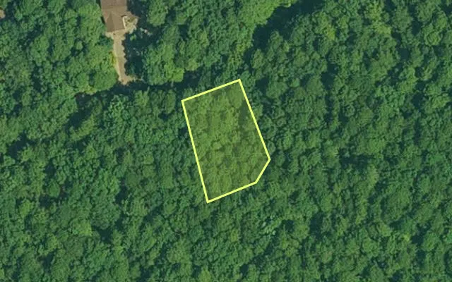 Aerial view of GARLAND County parcel 64019 — Arkansas post-auction with approximate parcel outline