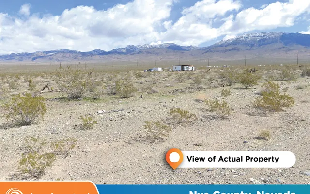 LandCentral listing preview for 0.46 acres in Nye, NV — 15950