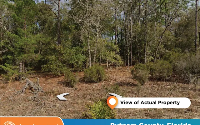LandCentral listing preview for 0.65 acres in Putnam, FL — 14800