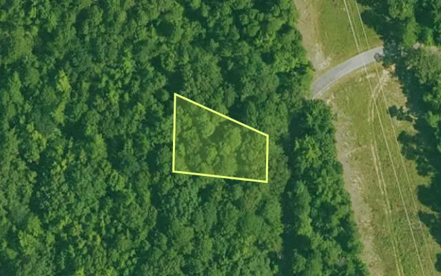 Aerial view of GARLAND County parcel 70410 — Arkansas post-auction with approximate parcel outline
