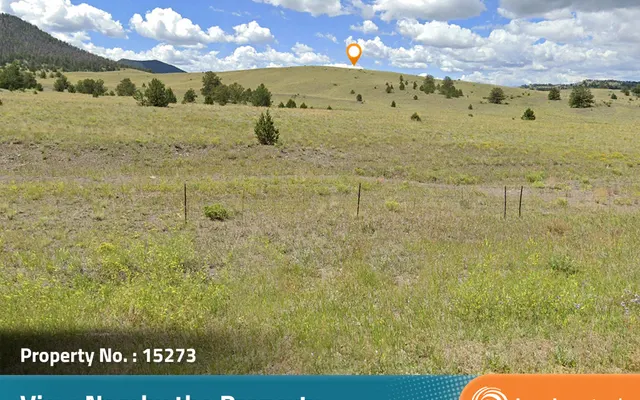 LandCentral listing preview for 5.6 acres in Park, CO — 15273