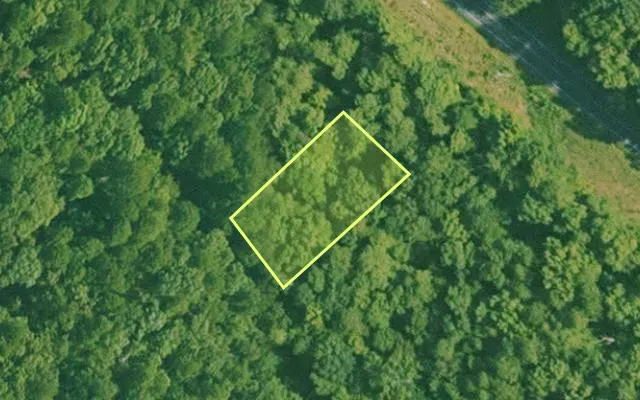 Aerial view of SALINE County parcel 688-00060-000 — Arkansas post-auction with approximate parcel outline