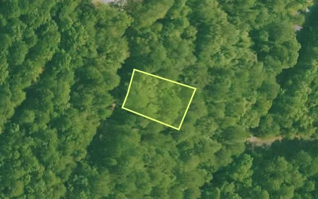 Aerial view of SALINE County parcel 392-00035-000 — Arkansas post-auction with approximate parcel outline