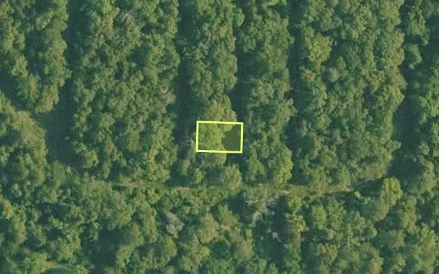 Aerial view of BAXTER County parcel 010-02350-000 — Arkansas post-auction with approximate parcel outline