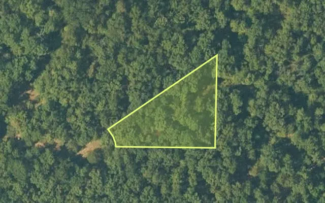 Aerial view of SHARP County parcel 760-54499-131 — Arkansas post-auction with approximate parcel outline