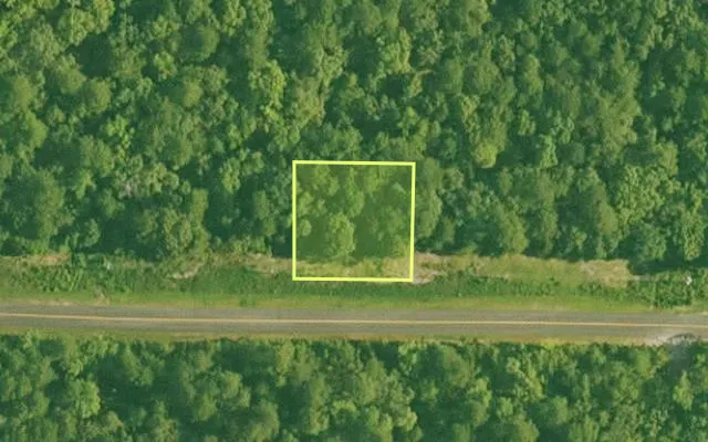 Aerial view of SALINE County parcel 492-00015-000 — Arkansas post-auction with approximate parcel outline