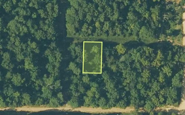 Aerial view of FULTON County parcel 687-25576-000 — Arkansas post-auction with approximate parcel outline